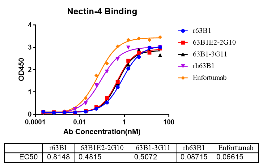 ELISA结合试验数据-1.png ELISA结合试验数据-1.png